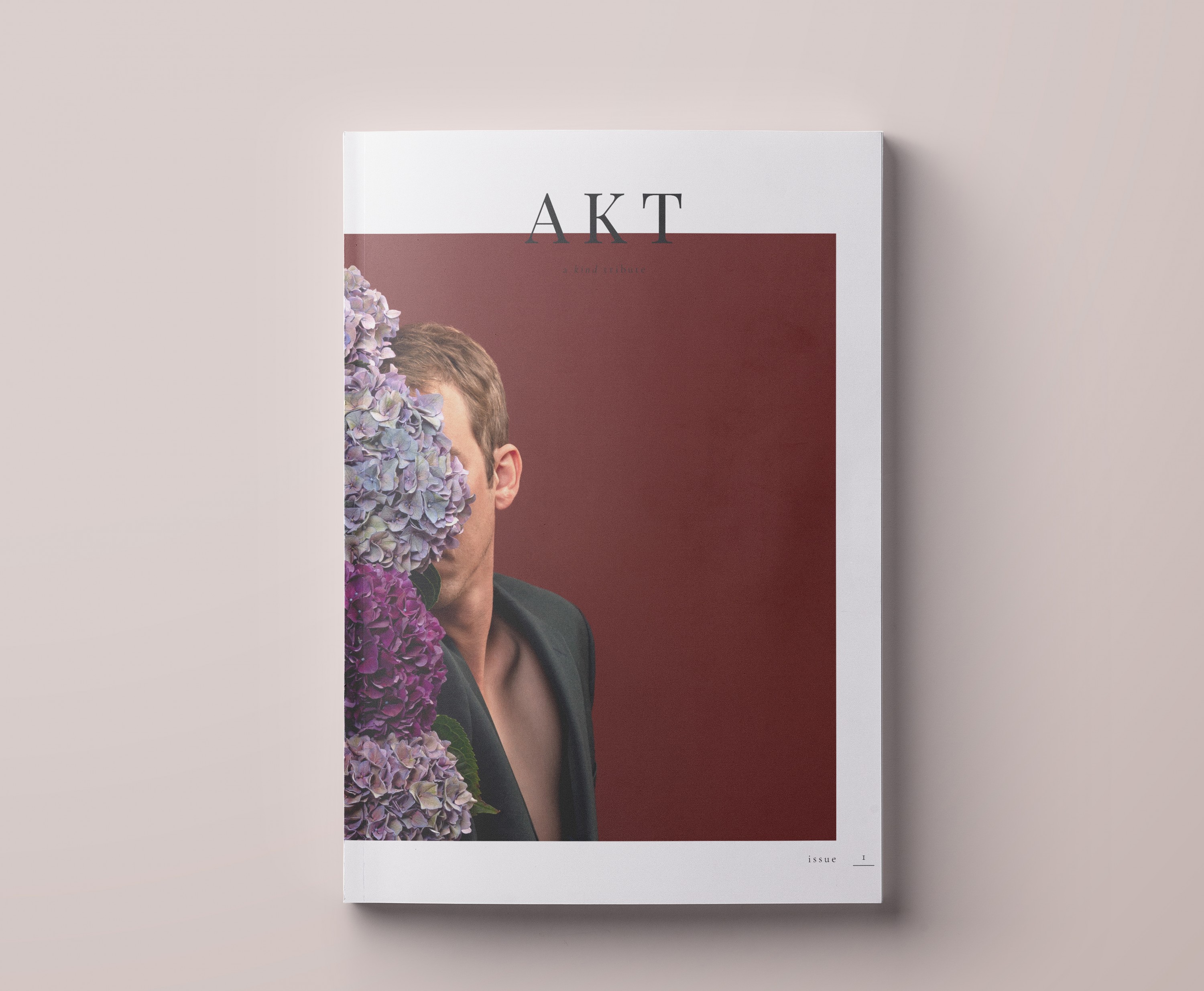 Issue 1